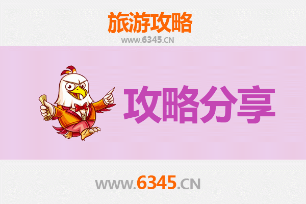保定博野旅游攻略：跟团游与自由行深度对比
